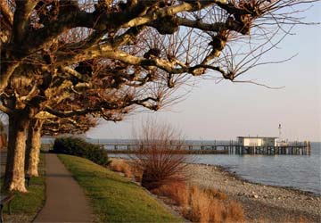 Ferienwohnung Hagnau am Bodensee Baum